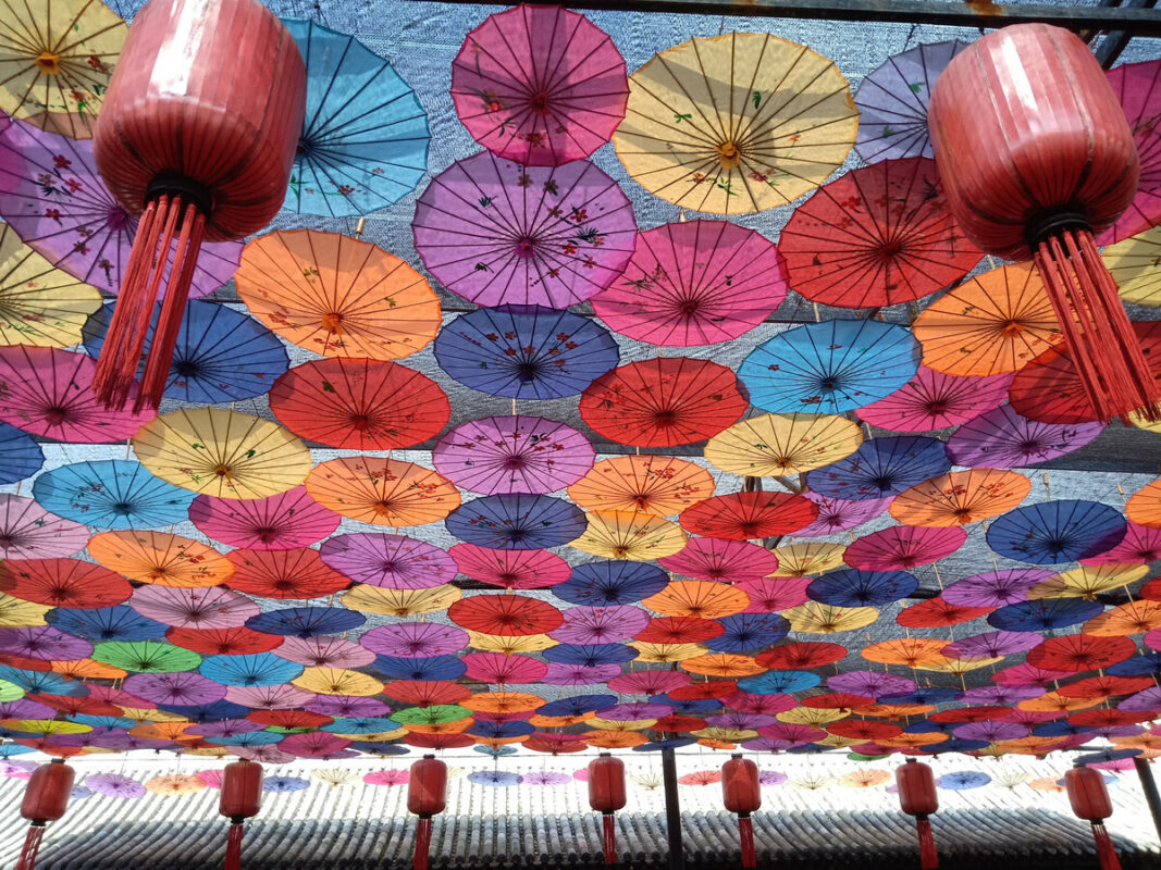 Decorative oil paper umbrella
