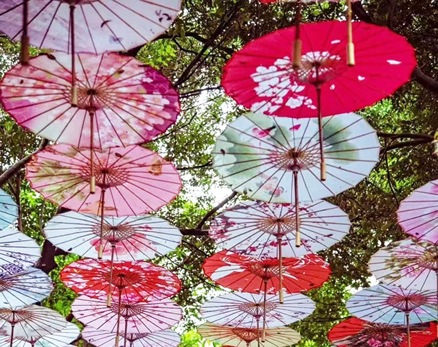 paper parasol & umbrella