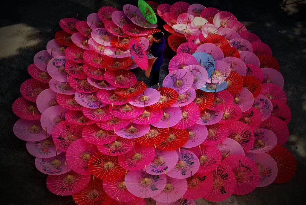 Beauty of colour in paper umbrella