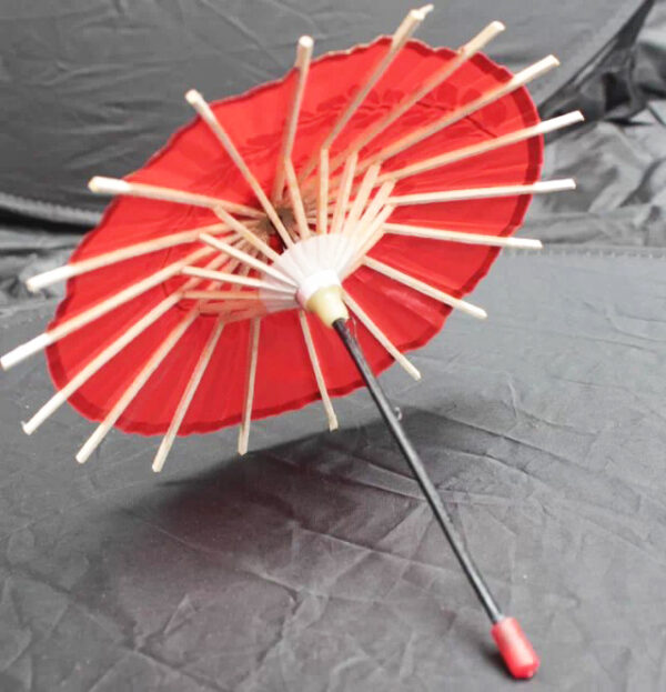 Japanese decorative parasol wholesaler