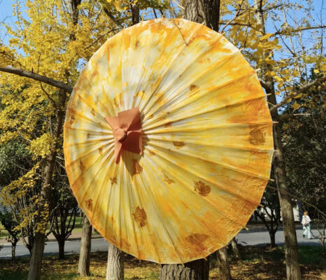 Chinese Maple Leaf Paper Parasol